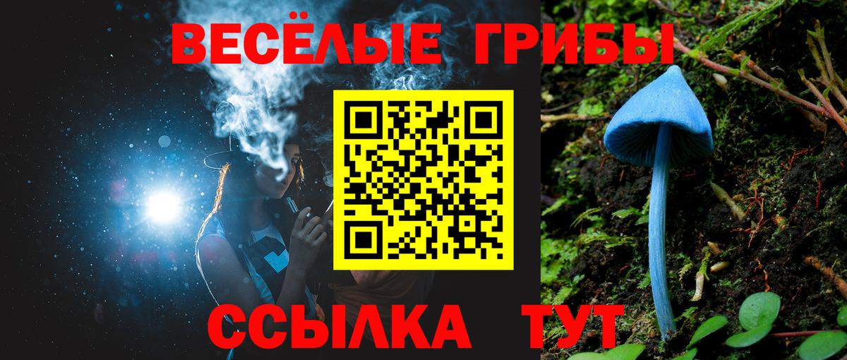 Галлюциногенные грибы Cubensis Ярославль