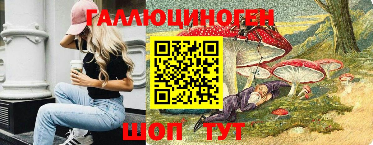 где купить наркоту  Вход с VPN  Ярославль  Псилоцибиновые грибы MAGIC MUSHROOMS 
